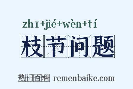 枝节问题是什么意思的图片